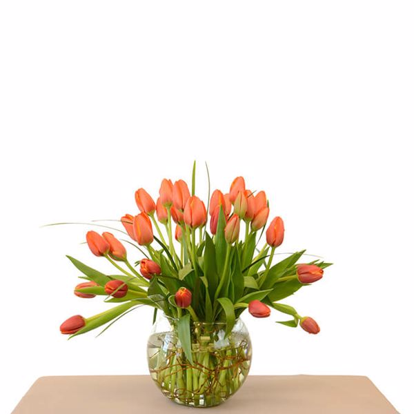 Cách Cắm Hoa Tulip Đơn Giản Nhưng Sang Trọng