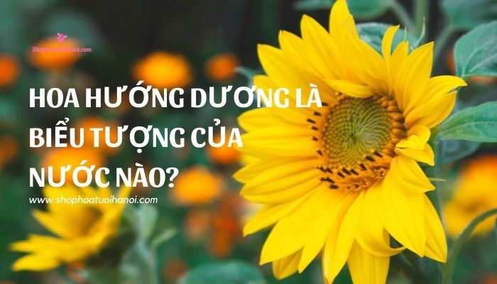 hoa hướng dương là biểu tượng của nước nào?